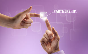 Software Development Partnership India
